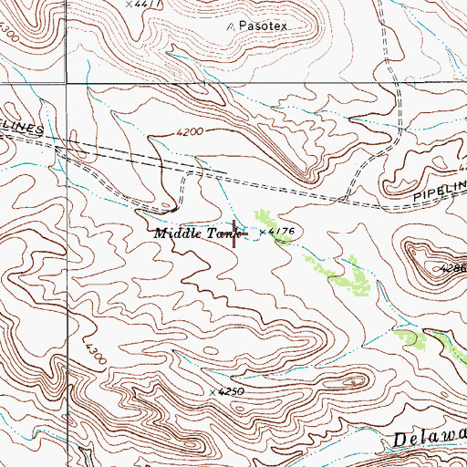 Topographic Map of Middle Tank, TX