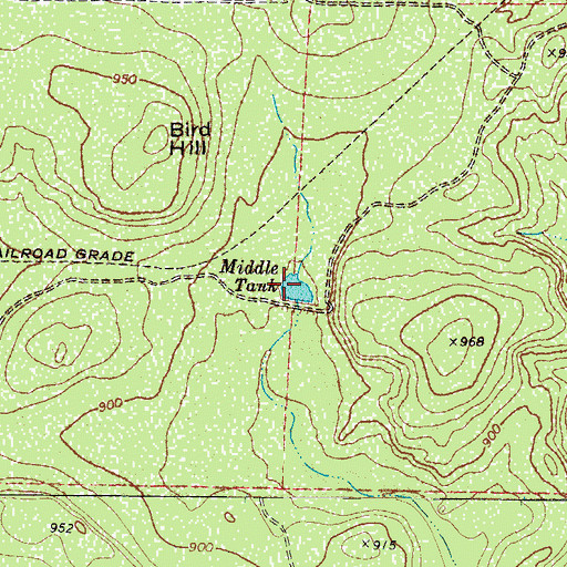Topographic Map of Middle Tank, TX