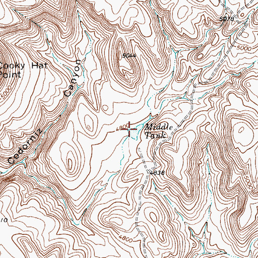 Topographic Map of Middle Tank, TX