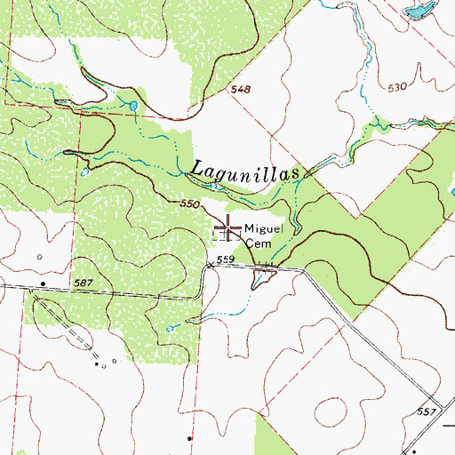 Topographic Map of Miguel Cemetery, TX