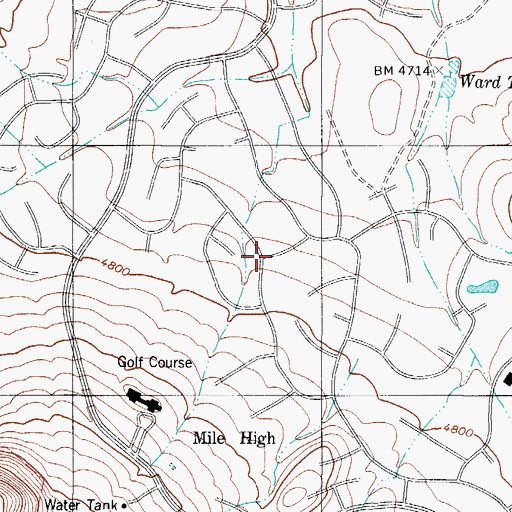 Topographic Map of Mile High, TX