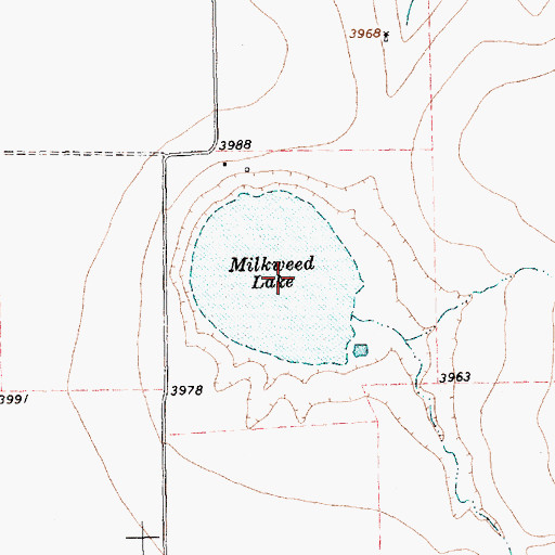 Topographic Map of Milkweed Lake, TX