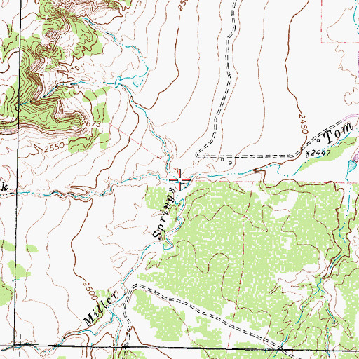 Topographic Map of Miller Springs, TX