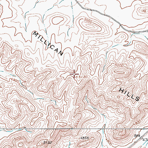 Topographic Map of Millican Hills, TX