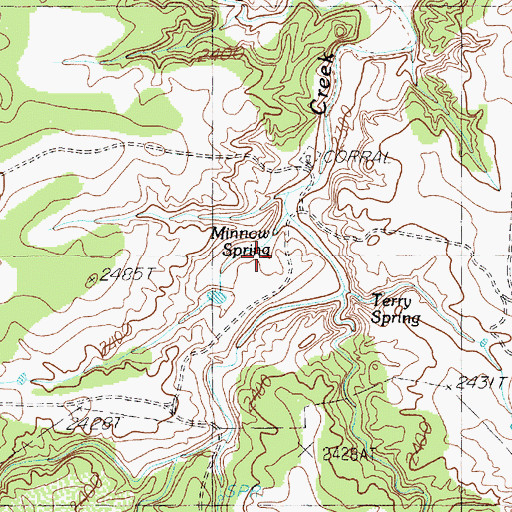 Topographic Map of Minnow Spring, TX