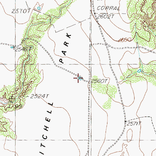 Topographic Map of Mitchell Park, TX