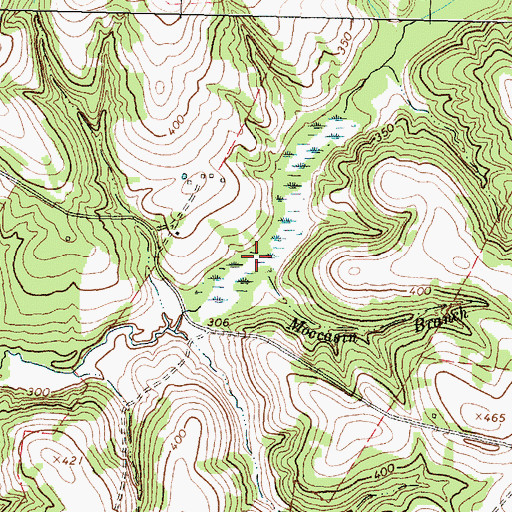 Topographic Map of Moccasin Branch, TX