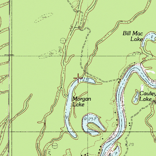 Topographic Map of Morgan Lake, TX