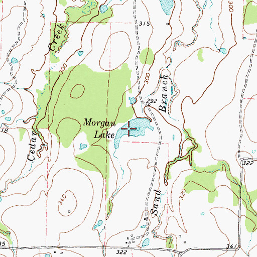 Topographic Map of Morgan Lake, TX