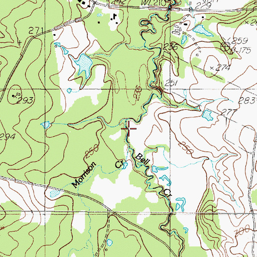 Topographic Map of Morrison Creek, TX