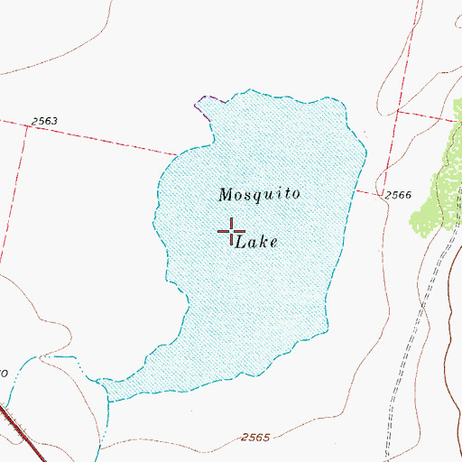 Topographic Map of Mosquito Lake, TX