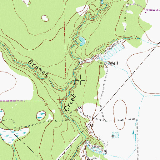 Topographic Map of Mott Branch, TX