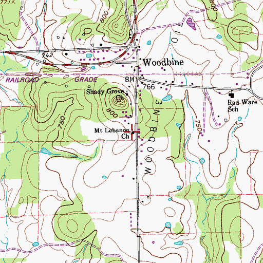 Topographic Map of Mount Lebanon Church, TX