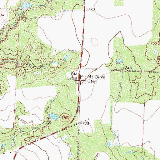 Topographic Map of Mount Olive Cemetery, TX