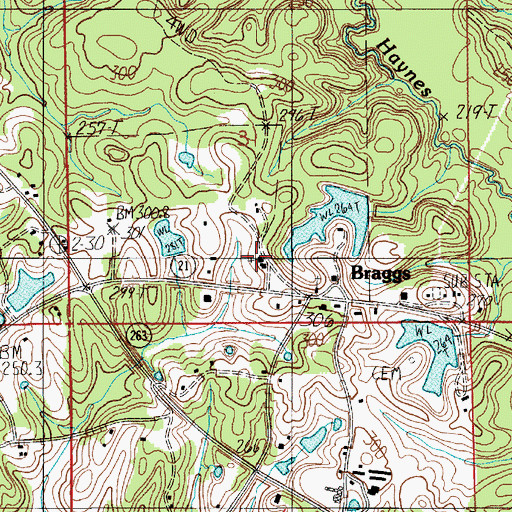 Topographic Map of Braggs Church, AL