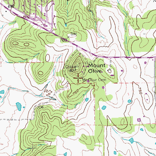 Topographic Map of Mount Olive Cemetery, TX