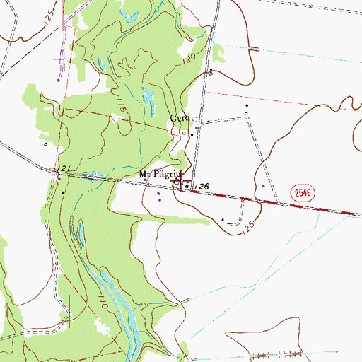 Topographic Map of Mount Pilgrim Church, TX