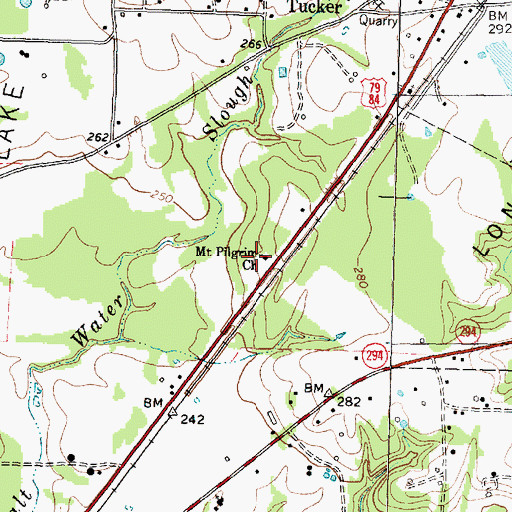 Topographic Map of Mount Pilgrim Church, TX