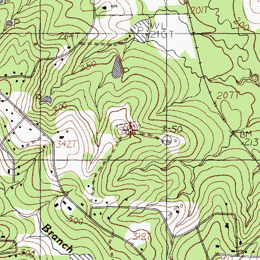 Topographic Map of Mount Pisgah Cemetery, TX