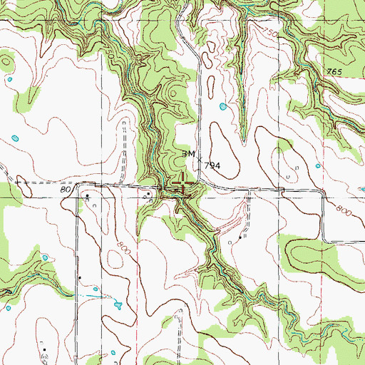 Topographic Map of Mount Zion Church, TX