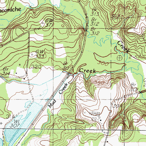 Topographic Map of Mud Creek, TX