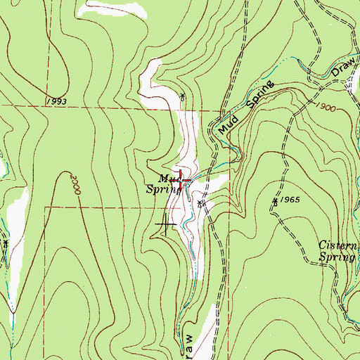 Topographic Map of Mud Spring, TX