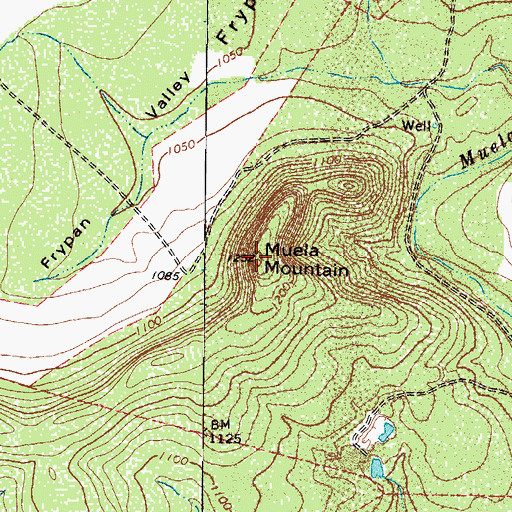 Topographic Map of Muela Mountain, TX