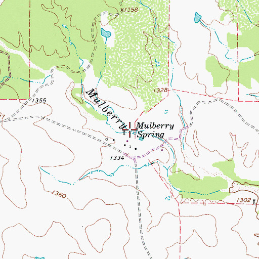 Topographic Map of Mulberry Spring, TX