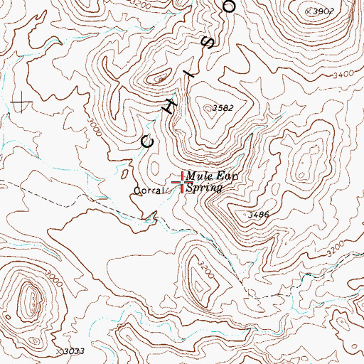 Topographic Map of Mule Ear Spring, TX