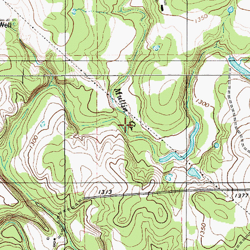 Topographic Map of Mullin Creek, TX