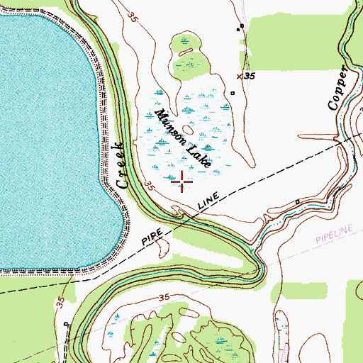 Topographic Map of Munson Lake, TX