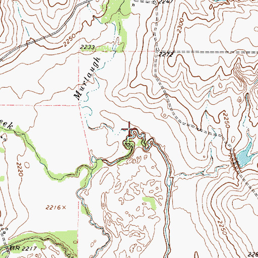 Topographic Map of Murtaugh Creek, TX