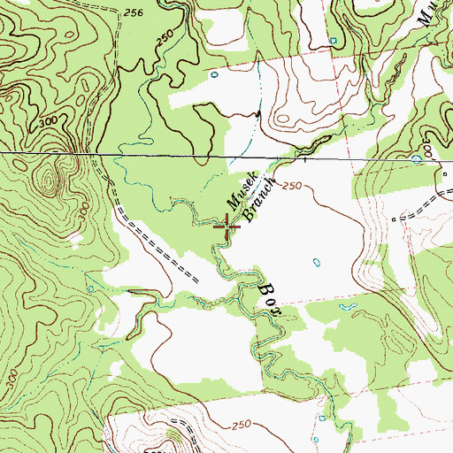 Topographic Map of Musek Branch, TX