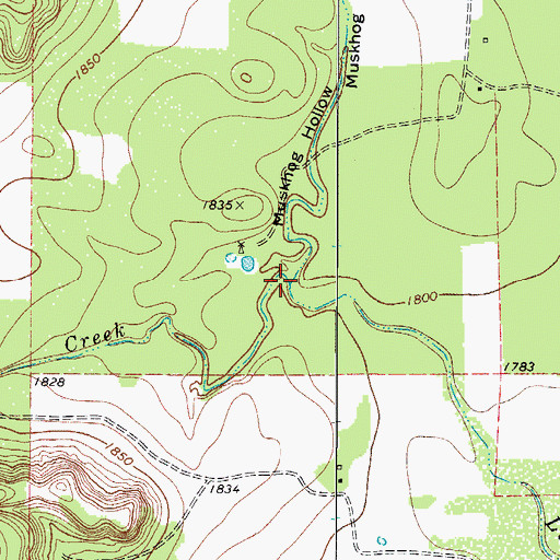 Topographic Map of Muskhog Hollow, TX