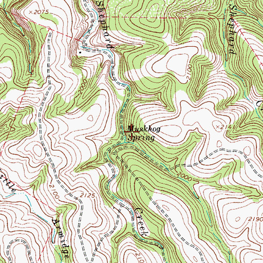 Topographic Map of Muskhog Spring, TX