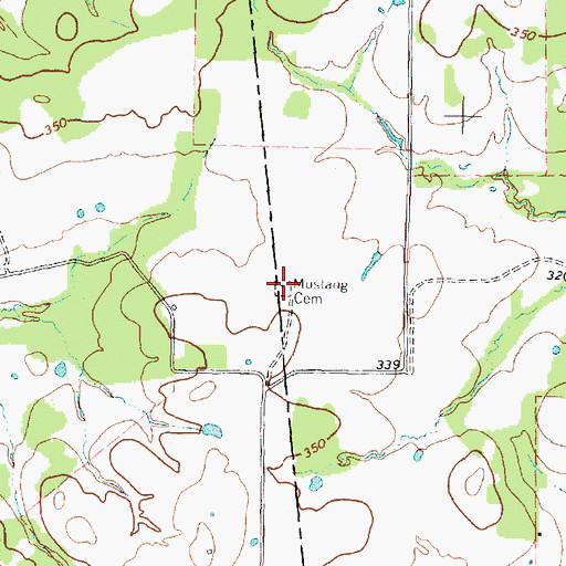 Topographic Map of Mustang Cemetery, TX