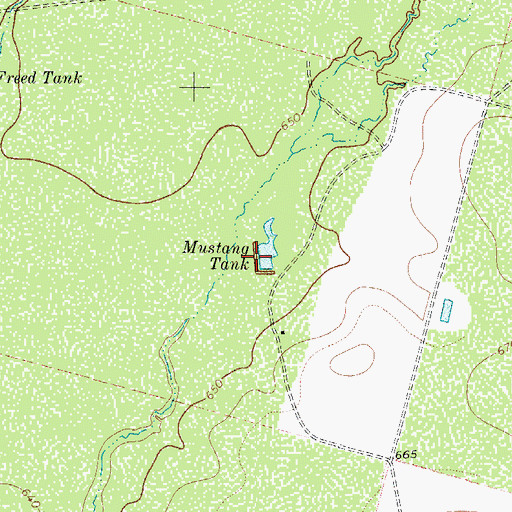 Topographic Map of Mustang Tank, TX