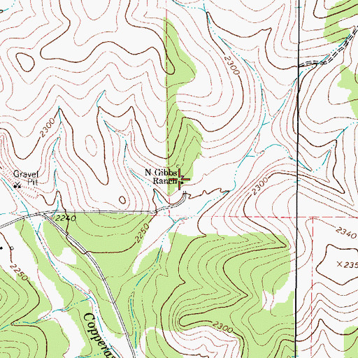 Topographic Map of N Gibbs Ranch, TX