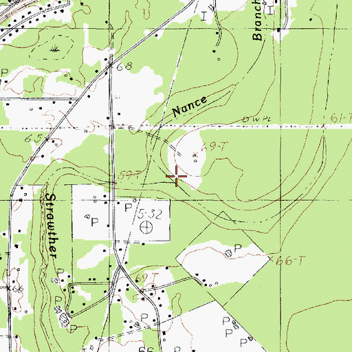 Topographic Map of Nance Branch, TX