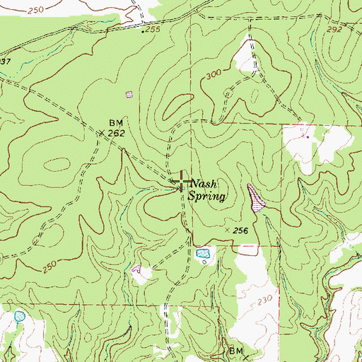 Topographic Map of Nash Spring, TX