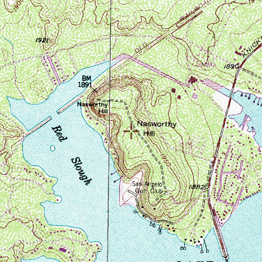 Topographic Map of Nasworthy Hill, TX