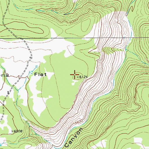 Topographic Map of Nations Flat, TX