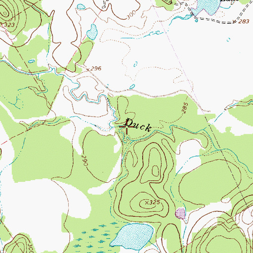 Topographic Map of Ned Branch, TX