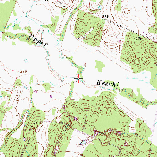 Topographic Map of Negro Creek, TX