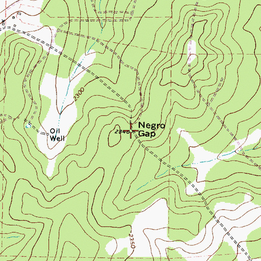 Topographic Map of Negro Gap, TX