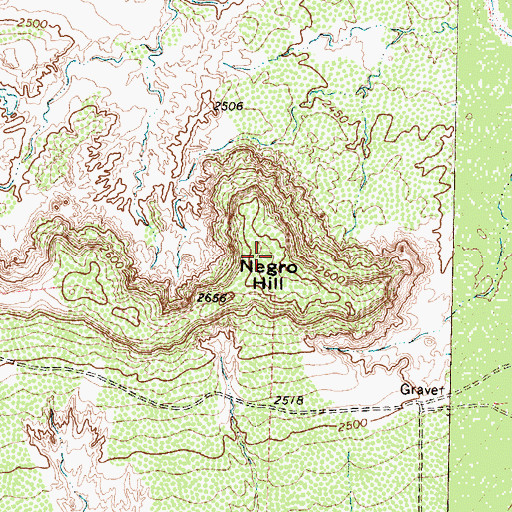 Topographic Map of Negro Hill, TX
