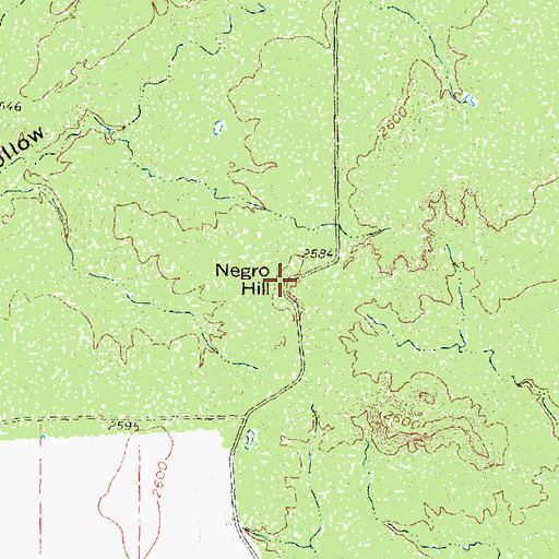 Topographic Map of Negro Hill, TX