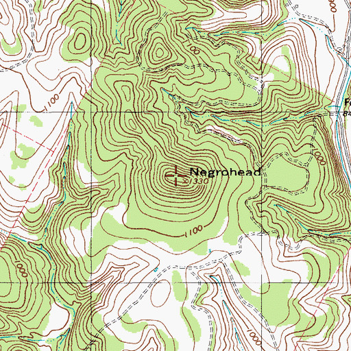 Topographic Map of Negrohead, TX