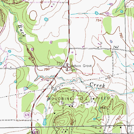 Topographic Map of Nelson Grove Cemetery, TX