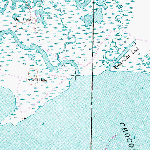 Topographic Map of New Bayou, TX